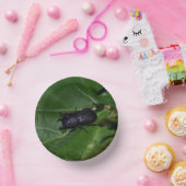 Bols En Carton Dorcus parallelipipedus, le moindre dendroctone du (Fête)