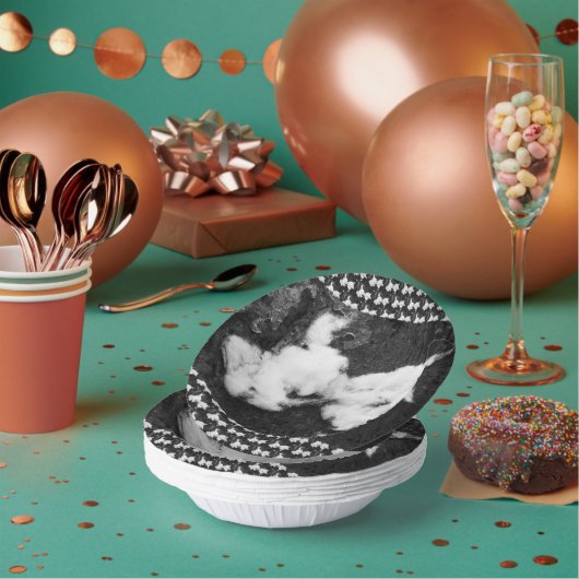 Bols En Carton duvet (Multi)