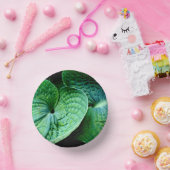 Bols En Carton Hosta Heart (Fête)