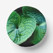 Bols En Carton Hosta Heart (Recto)