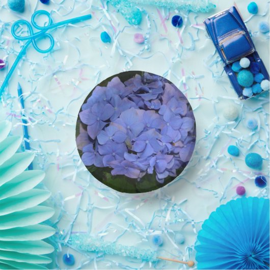 Bols En Carton Hydrangea macrophylla violette rustique (Fête)