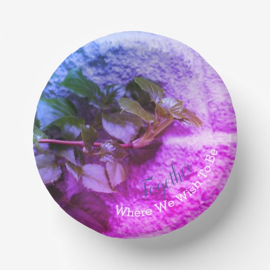 Bols En Carton Image du jardin (Recto)