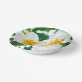 Bols En Carton Lys blancs - Lilium Flower candidum (Angulaire)