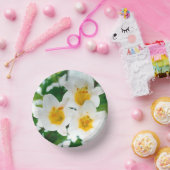 Bols En Carton Lys blancs - Lilium Flower candidum (Fête)