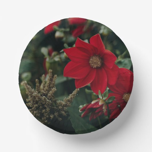 Bols En Carton Plaque de papier ronde (Recto)