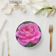 Rose romantique 'Léonard de Vinci'