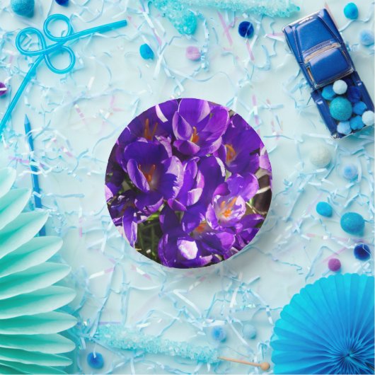 BOLS EN CARTON SPRING CROCUS (Fête)