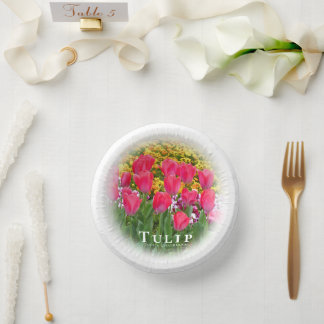 Bols En Carton Tulip