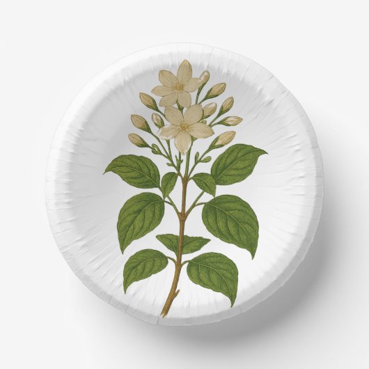 Bols En Carton Vintage Jasmine (Recto)