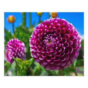 bolvormig foto afdruk