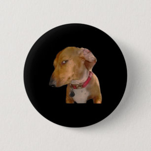 Bombastische Zijdelingse Blik Grappige Hond  Ronde Button 5,7 Cm