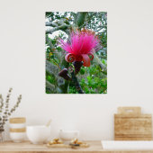 Bombax Blossom Poster (Keuken)