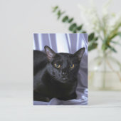 Bombay Briefkaart (Staand voorkant)