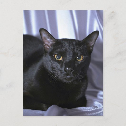 Bombay Briefkaart (Voorkant)