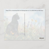 Bombay Cat - Carte postale (Dos)