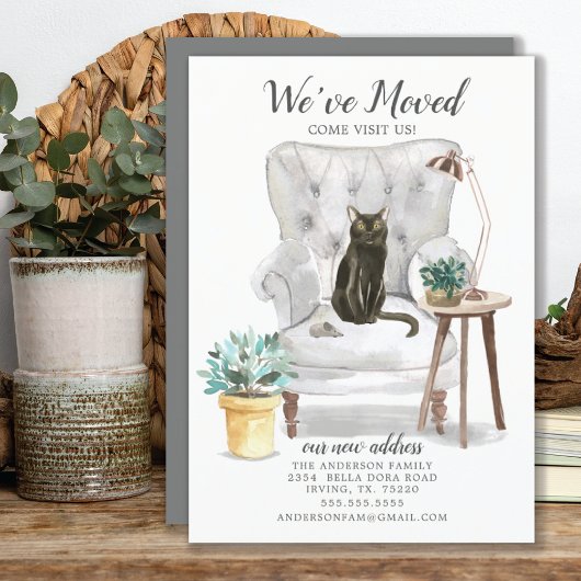 Bombay Cat Moving Announge Aankondiging