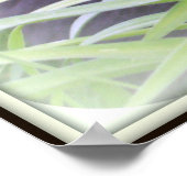 Bombay Zwarte Kat Print (Hoek)