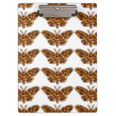 Bombyx Mori Silk Moth Life Cycle Silhouette Klembord (Voorkant)