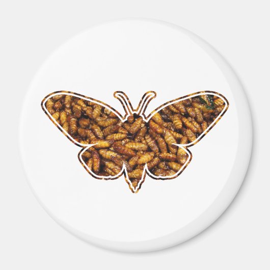 Bombyx Mori Silk Moth Life Cycle Silhouette Magneet (Voorkant)