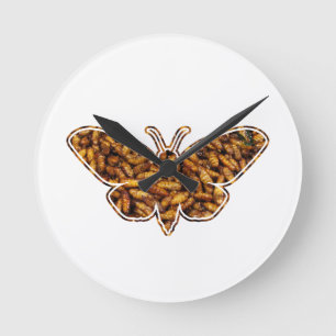 Bombyx Mori Silk Moth Life Cycle Silhouette Ronde Klok