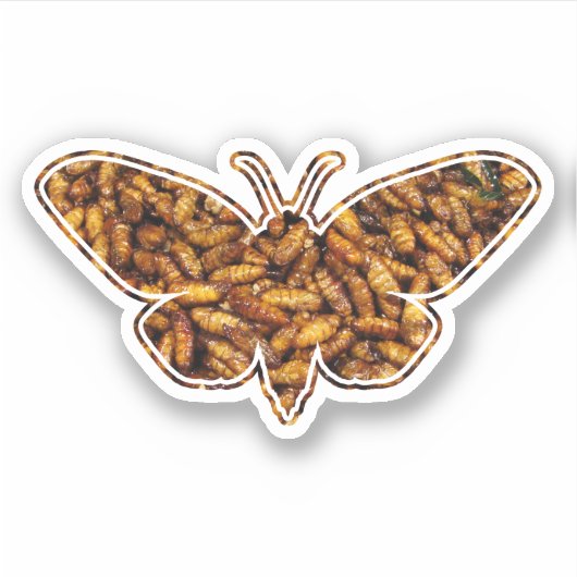 Bombyx Mori Silk Moth Life Cycle Silhouette Sticker (Voorkant)