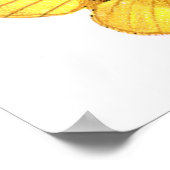 Bombyx quercus vrouw poster (Hoek)