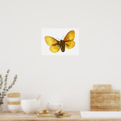 Bombyx quercus vrouw poster (Keuken)