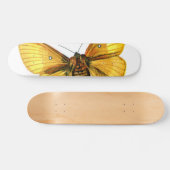 Bombyx quercus vrouw skateboard (Horizontaal)