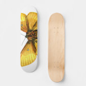 Bombyx quercus vrouw skateboard (Voorkant)