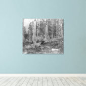 Bomen afgesneden door Donner Party Canvas Afdruk (Insitu (Houten vloer))