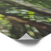 Bomen beklimmen. poster (Hoek)