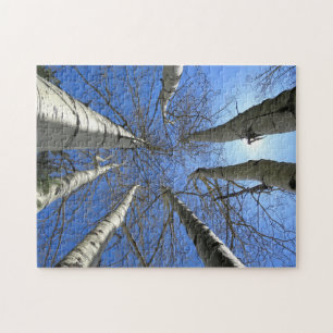 Bomen Berk Natuur Bos. Legpuzzel