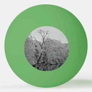 Bomen, bij het water pingpongballen