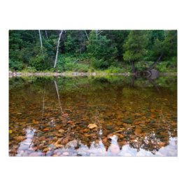 Bomen boven Rocky Pond Foto Afdruk