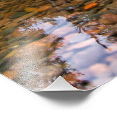 Bomen boven Rocky Pond Foto Afdruk (Hoek)