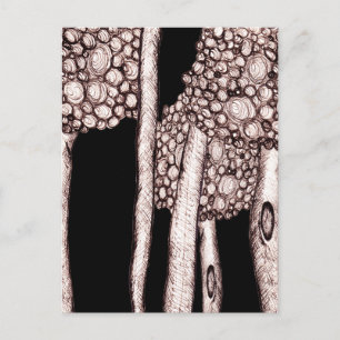 Bomen Briefkaart
