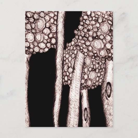 Bomen Briefkaart (Voorkant)