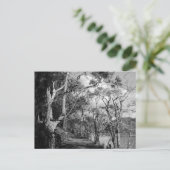 BOMEN BRIEFKAART (Staand voorkant)