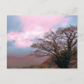 BOMEN BRIEFKAART (Voorkant)