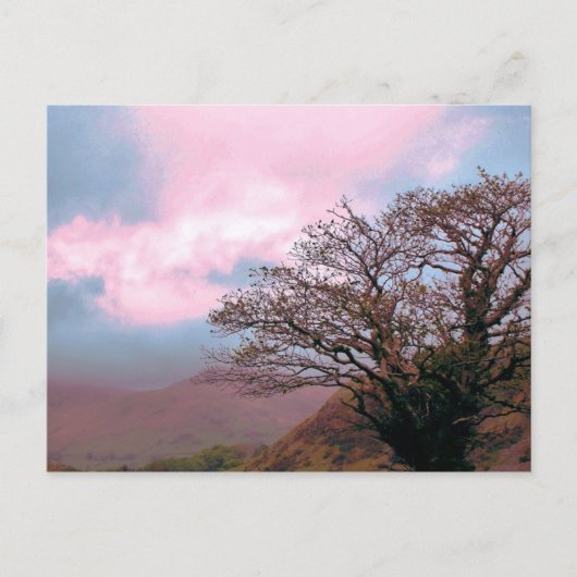 BOMEN BRIEFKAART (Voorkant)