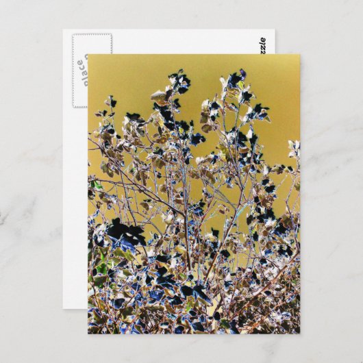 BOMEN BRIEFKAART (Voorkant / Achterkant)