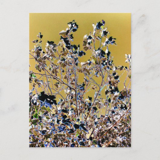 BOMEN BRIEFKAART (Voorkant)