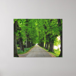 Bomen Canvas Afdruk