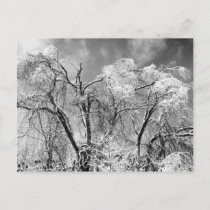 bomen draag winter briefkaart