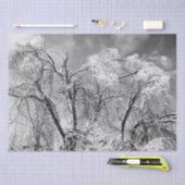 bomen draag winter tissuepapier (Craft)