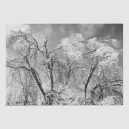 bomen draag winter tissuepapier