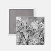 bomen dragen winter magneet (Voorkant / Achterkant)