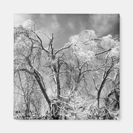 bomen dragen winter magneet (Voorkant)