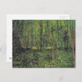 Bomen en ondergroei door Van Gogh Briefkaart (Voorkant / Achterkant)