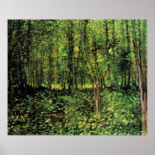 Bomen en ondergroei poster